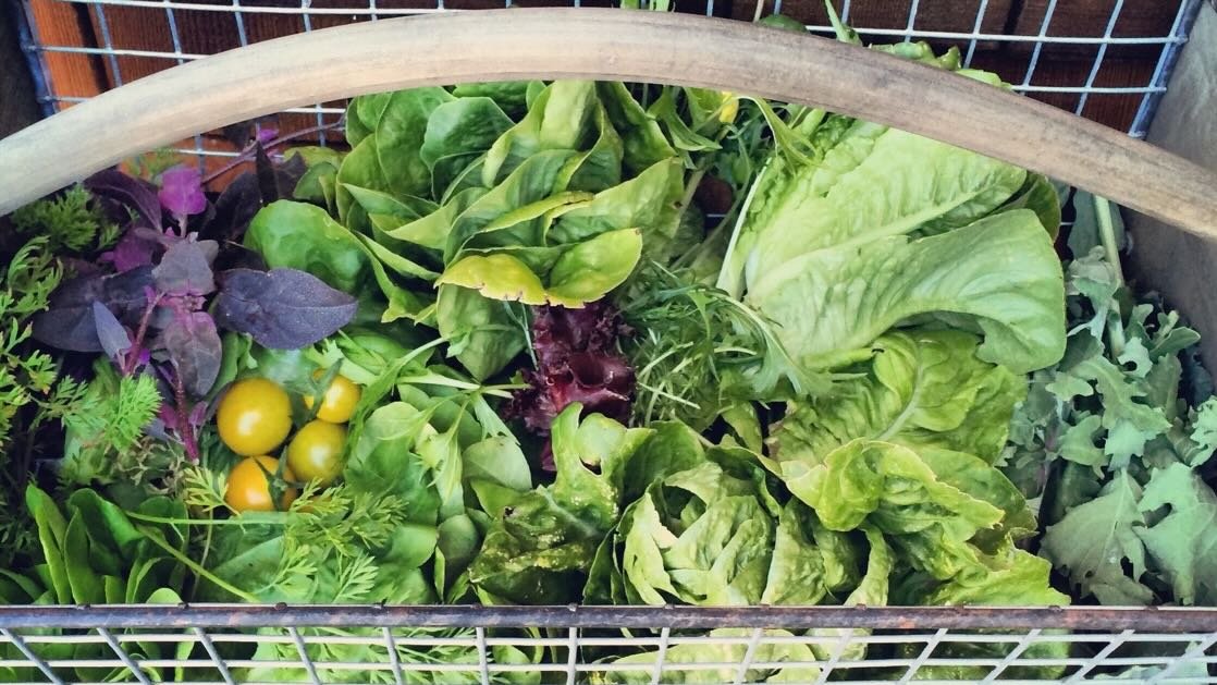 Basket filled with fresh vegetables including leeks, carrots, potatoes, and greens for healthy French home cooking.