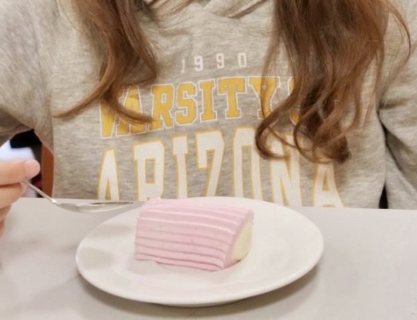 Buche de Noel cake served to students at French school lunch Christmas meal.