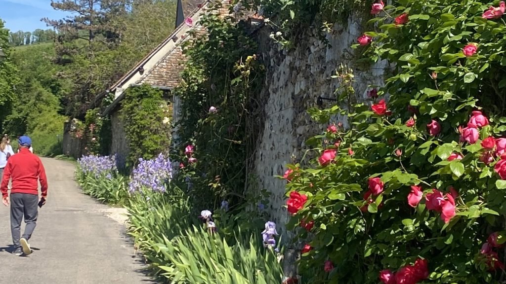 Person walking along a flower-lined path in the French countryside — everyday movement in the French wellbeing lifestyle.