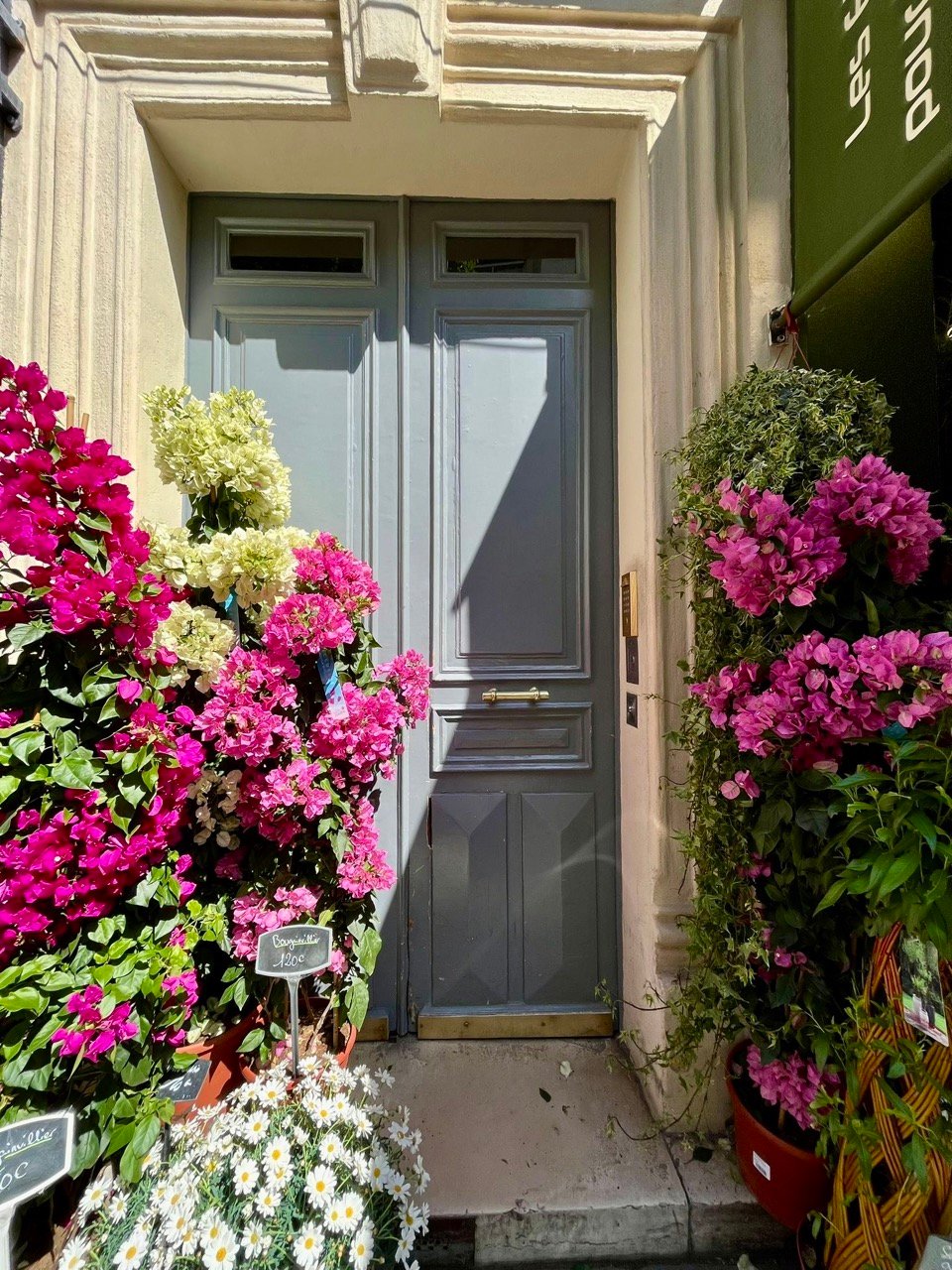 Inviting French doorway surrounded by flowers, symbolizing the entry point into the blog.