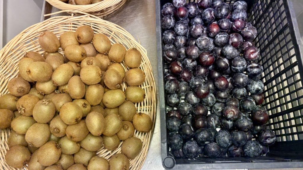 Fresh kiwis and plums delivered to a French school kitchen for the daily lunch menu.