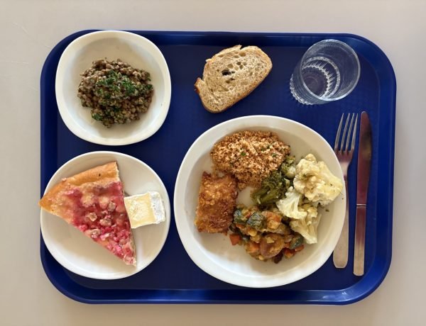 Typical French school lunch tray with lentils, vegetables, cheese, bread, and a fruit tart.
