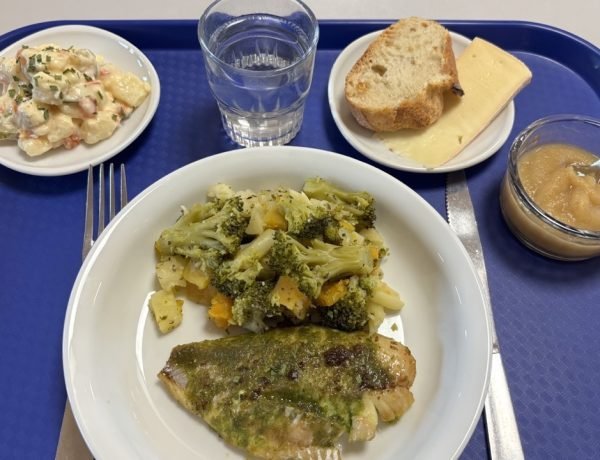 Example of a French school lunch in 2025 with a balanced meal on a tray. The tray has potato salad, butter-parsley fish, broccoli, peas and butternut squash, saint-nectaire cheese and apple sauce.