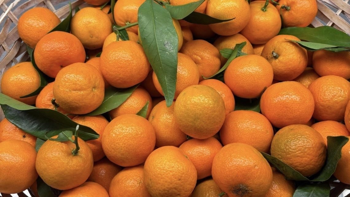 A basket of winter clementines on a kitchen counter.