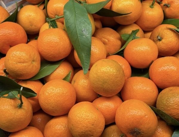 A basket of winter clementines on a kitchen counter.