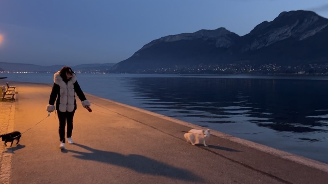 Day in the life of a French school chef in a school cafeteria kitchen. Early morning walking dogs before school day starts.