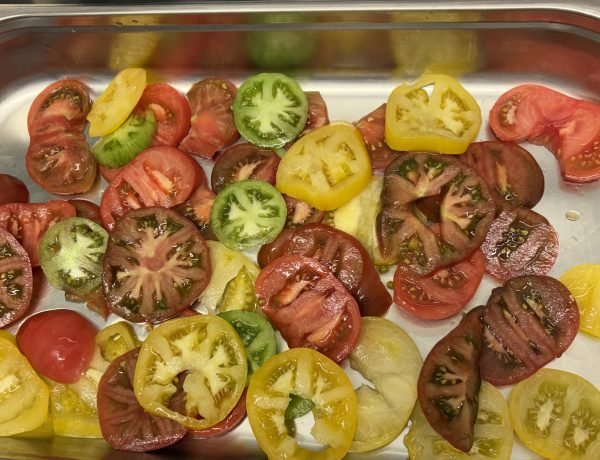 Tray of fresh tomatoes prepared for a French public school lunch.