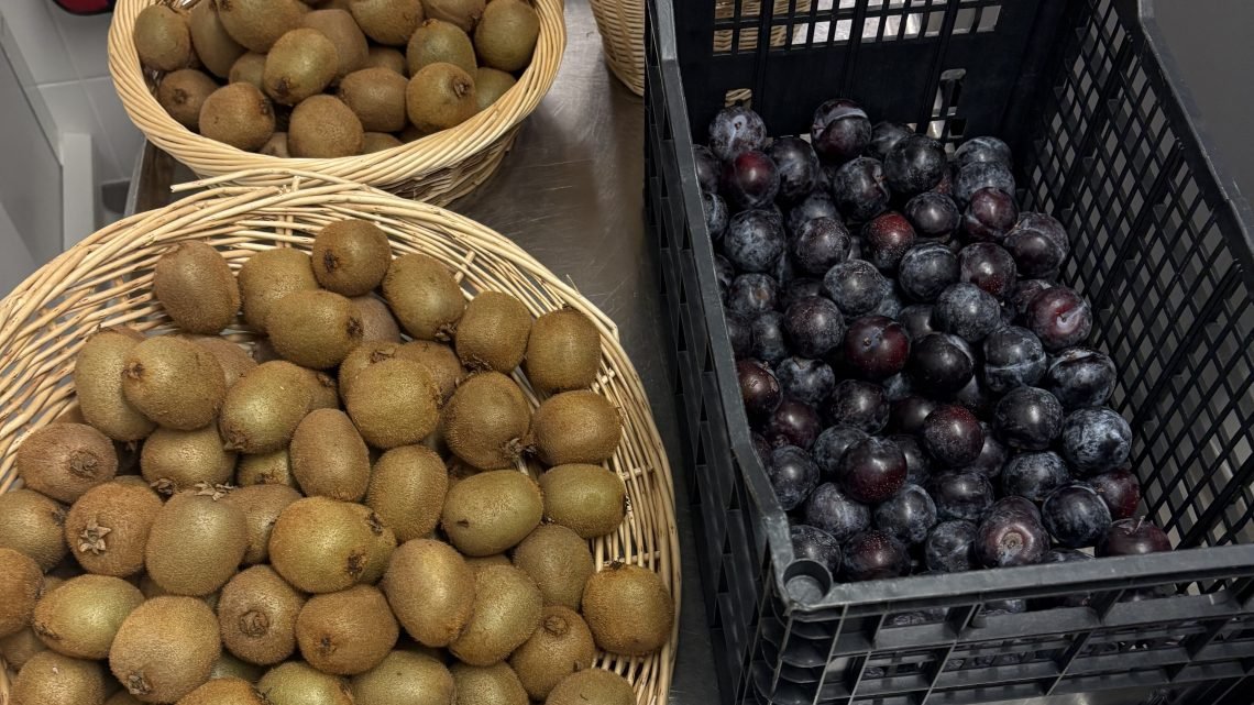 Fresh kiwis and prunes served as part of a French school lunch.