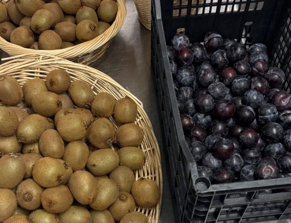 Fresh kiwis and prunes served as part of a French school lunch.