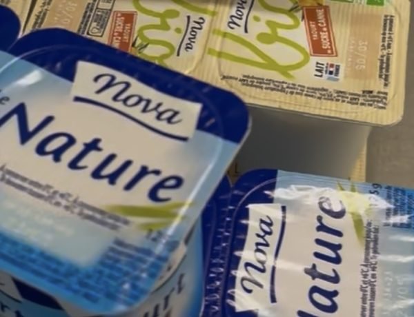 Plain unsweetened yogurt served as part of a French school lunch