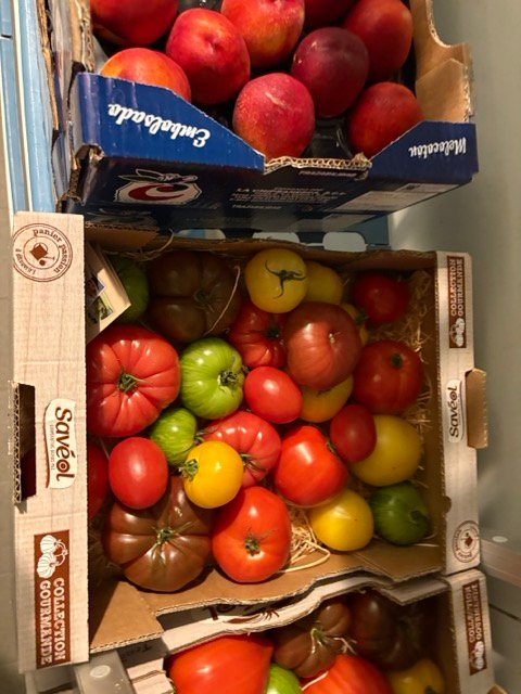 Fresh tomatoes at French school kitchen